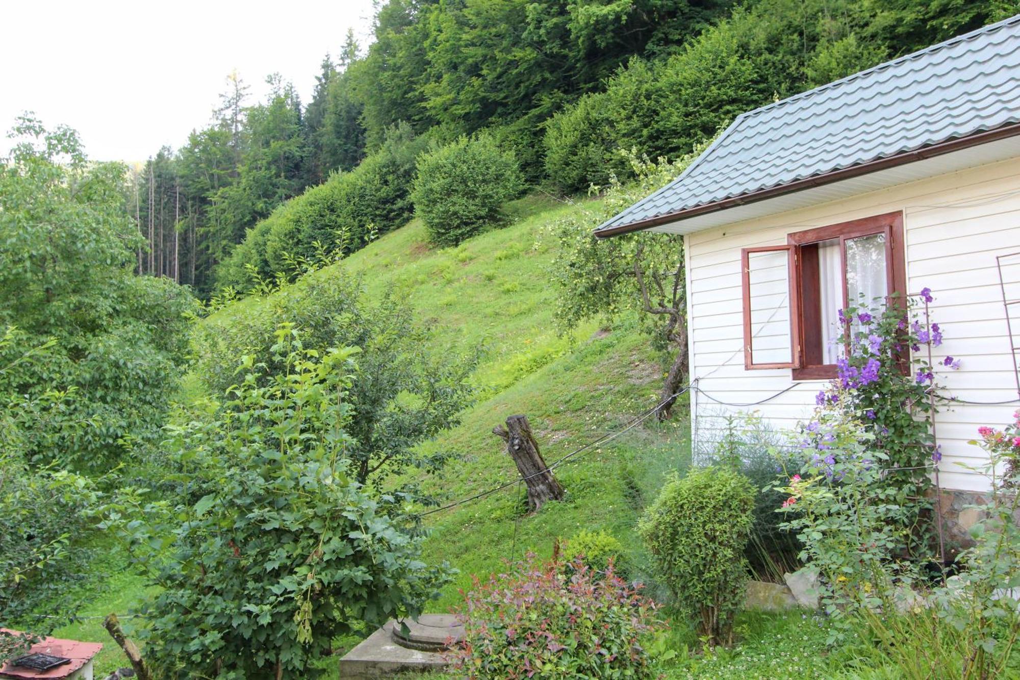 Котедж "Красний Краєвид" Yaremche Bagian luar foto